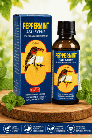 Habib Herbal | Peppermint Asli Syrup – Qudrati Digestive Support (120ml)